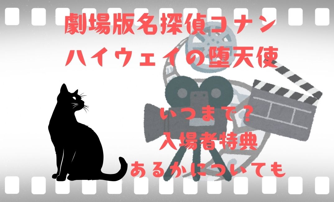 劇場版名探偵ｺﾅﾝ ﾊｲｳｪｲの堕天使