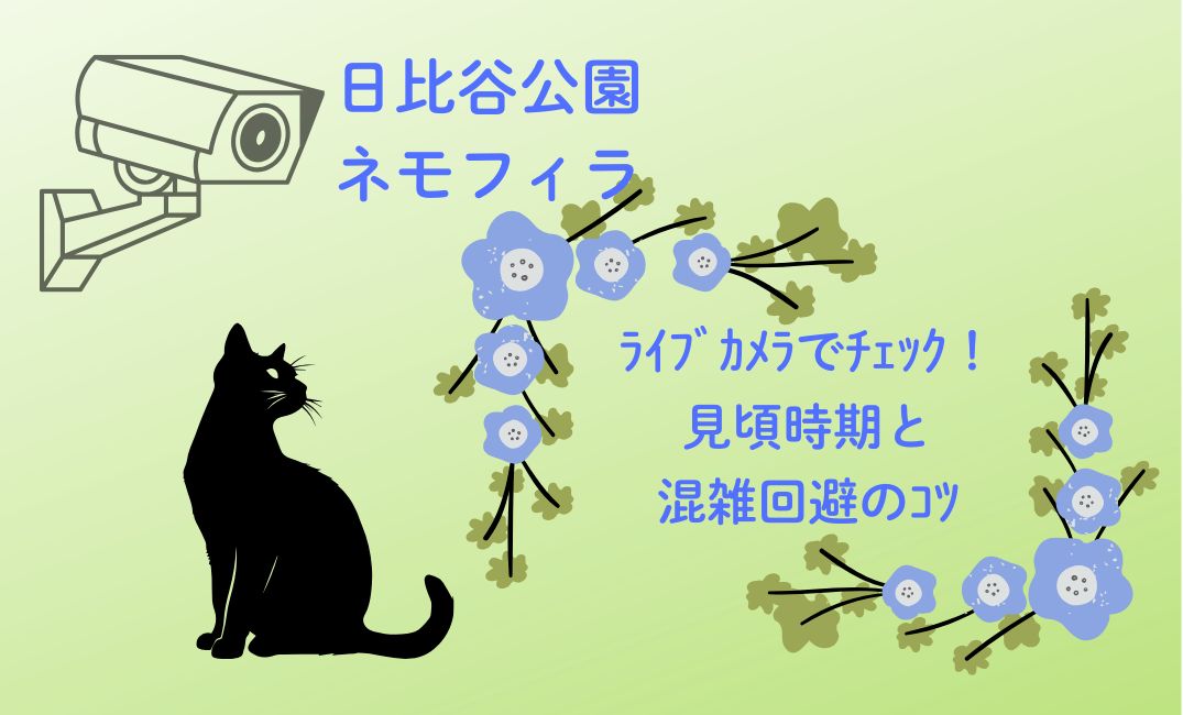 日比谷公園ﾈﾓﾌｨﾗをﾗｲﾌﾞｶﾒﾗでﾁｪｯｸ！