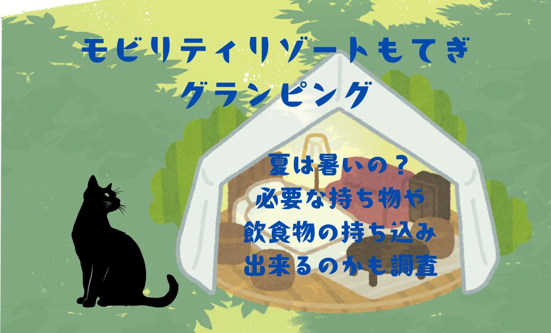 ﾓﾋﾞﾘﾃｨﾘｿﾞｰﾄもてぎｸﾞﾗﾝﾋﾟﾝｸﾞ夏は暑いの？