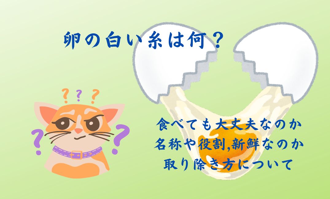 卵の白い糸は何？