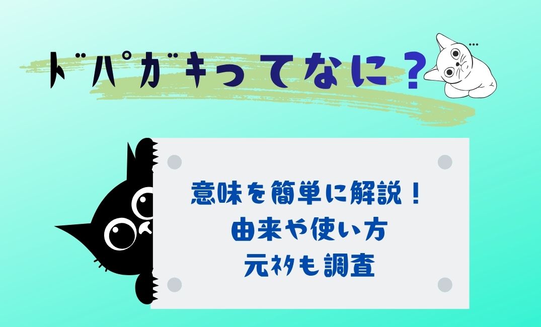 ﾄﾞﾊﾟｶﾞｷってなに？意味