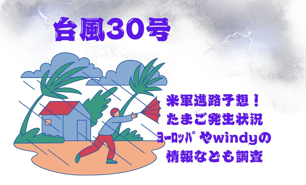 台風30号
